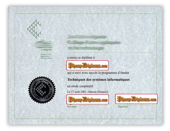 La Cite collegiale - Fake Diploma Sample from Canada